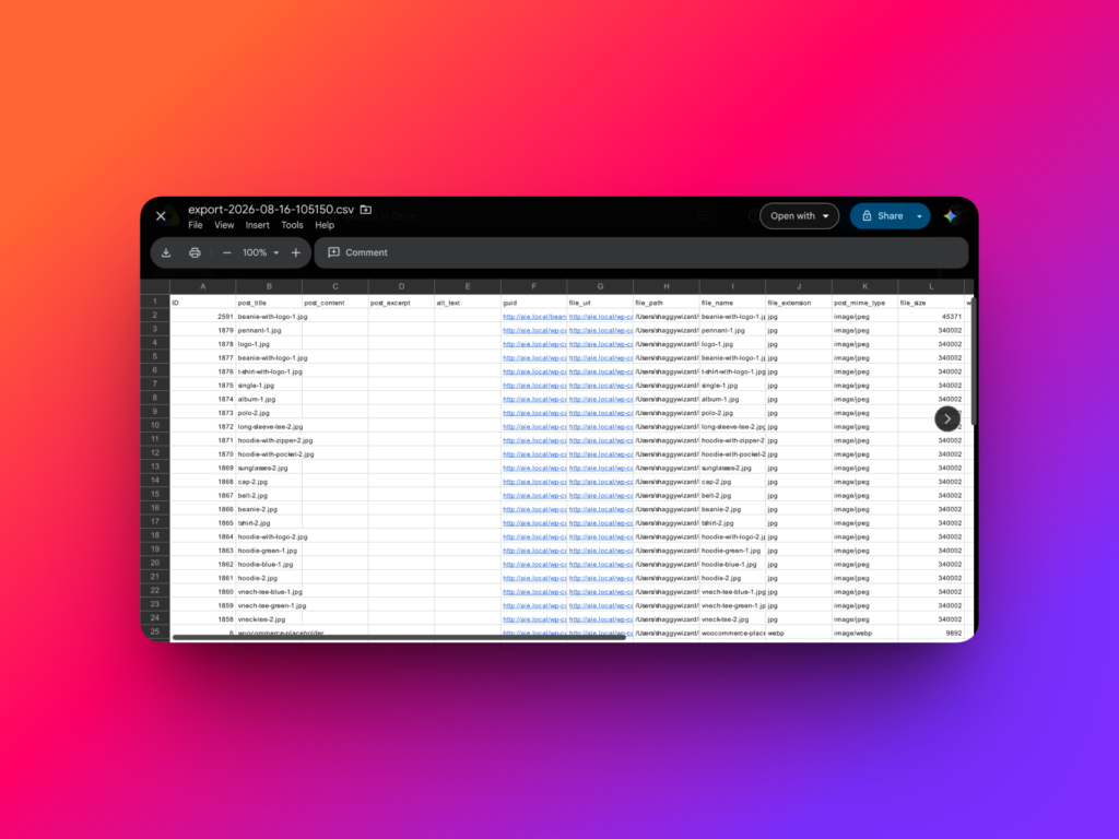 WordPress Media Library CSV export opened in Google Sheets