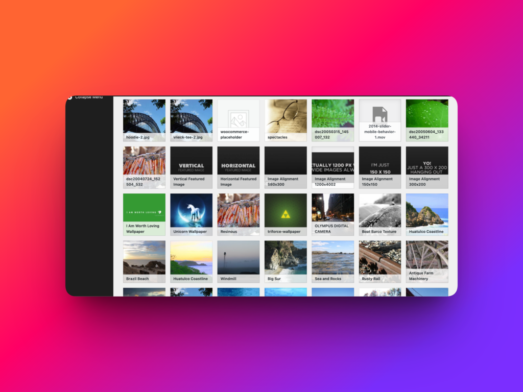 WordPress Media Library with files ready for CSV export