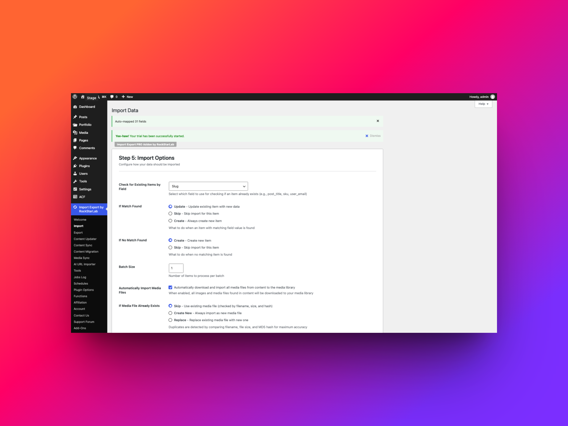 Import options showing slug matching, update and create behavior, batch size, and automatic media import