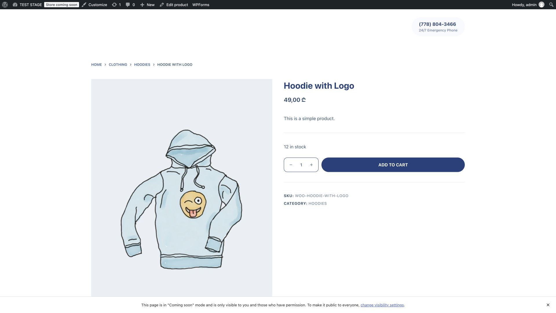 Destination Hoodie with Logo product page displaying a price of 49 GEL and 12 in stock.